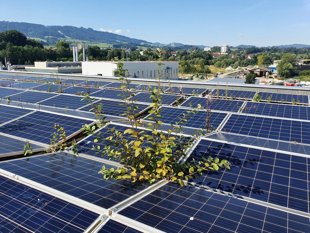 Wir reinigen Photovoltaikanlagen fachgerecht und übernehmen die Umgebungsreinigung.