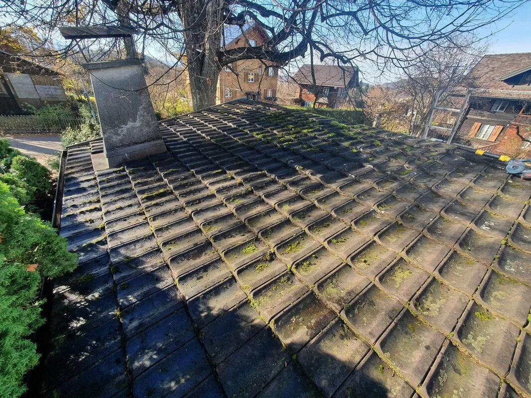 roof after
